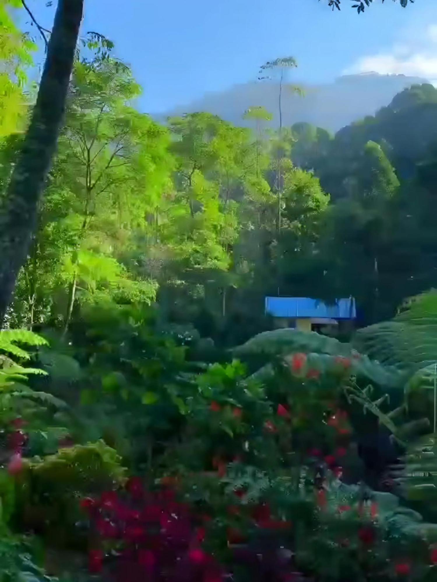 Penginapan Nuansa Riung Gunung Hotel Pangalengan Exterior photo